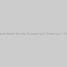 Image of Recombinant Borrelia Turicatae rpsF Protein (aa 1-133)